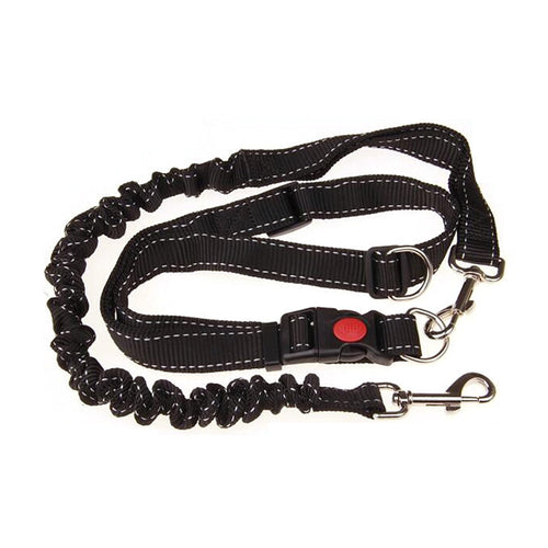 Hands-Free Running Leash
